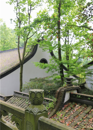 庭院種樹6大風水禁忌，你了解多少？