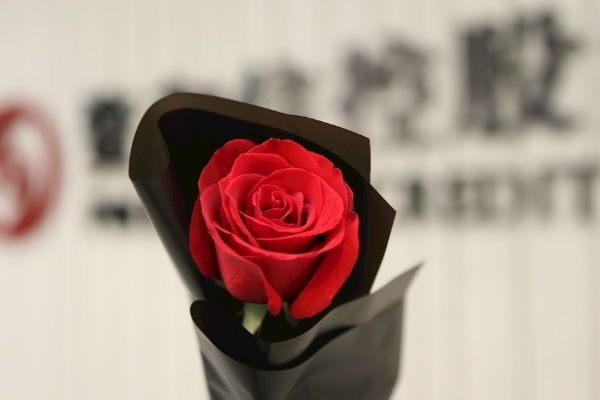 11朵紅玫瑰花花語 一生一世的愛意