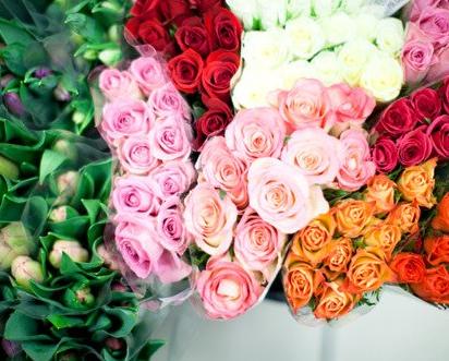 如何營造家居溫馨小花園