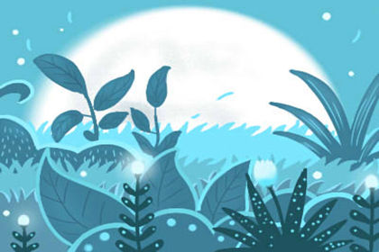 文竹放在什麼地方風水好