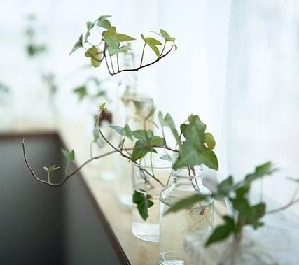 助男人增運的家居風水