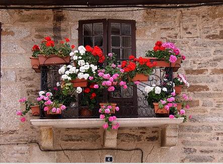 窗戶開合迎納中的風水化解