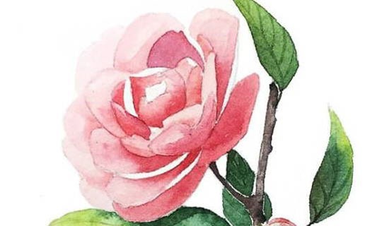 午時出生的女孩是什麼命 午時出生的女孩能夠自立門戶