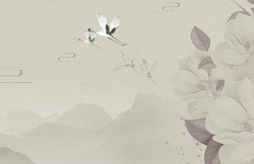 2004屬猴的手機號吉利數字 熱門的豹子靚號