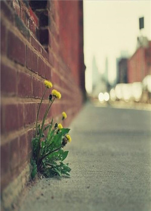 2019年7月哪天適合搬家？六大吉日可供選擇