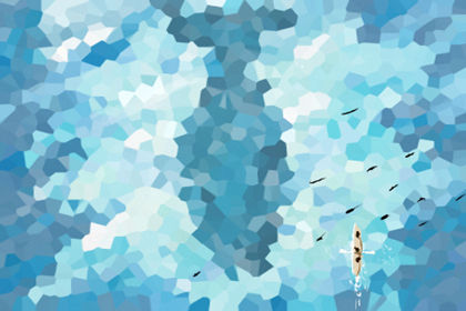 財神魚:玉面財神魚是什麼魚