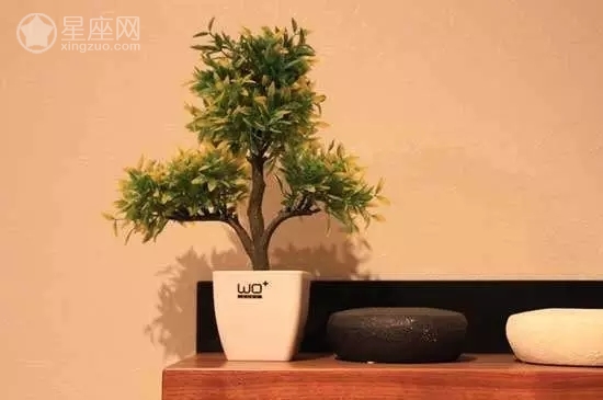 這些風水物品你都使用對了嗎?