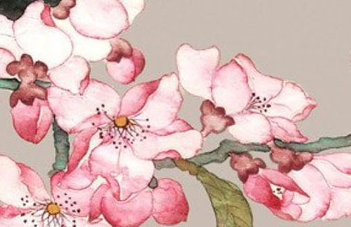 屬虎幸運手機號碼 選擇招財的手機磁場靚號