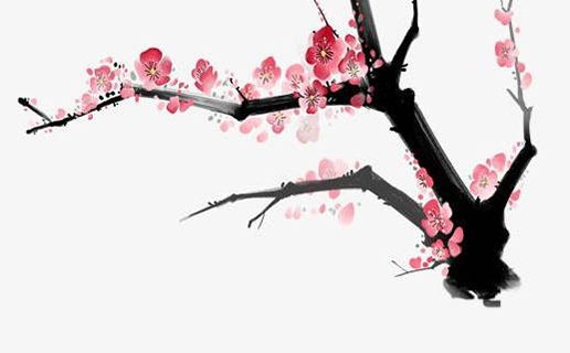 牛寶寶幾月出生大富大貴 屬牛人今年的運勢如何