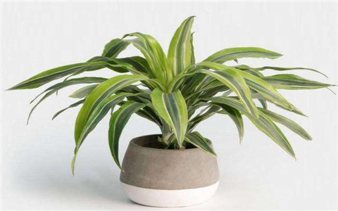 橫樑壓頂的7種破解方法,可以根據住宅大小選擇