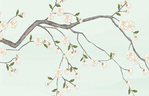 愛出車禍的車牌數字 絶命車牌號值得注意