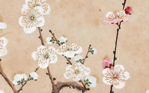 六月六生日的男孩命運 晚年安樂享長壽之命