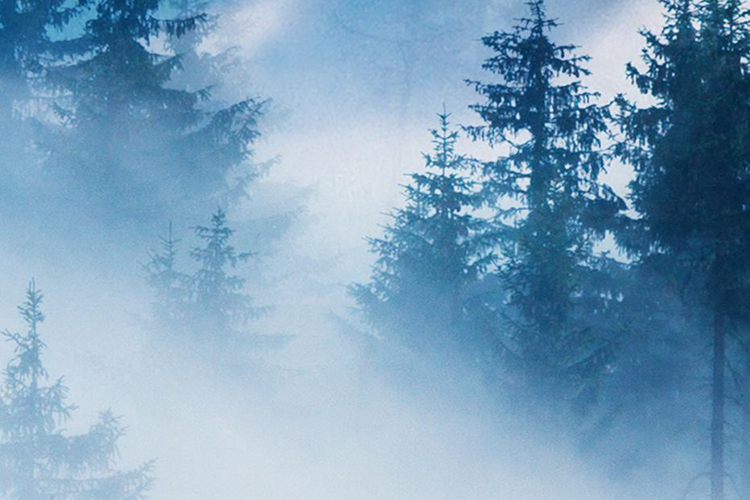 陰宅風水口訣 挑選墳地好參照