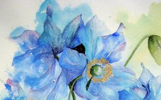 幾月份牛寶寶幾月出生最好命 九月出生的牛寶寶事業有成