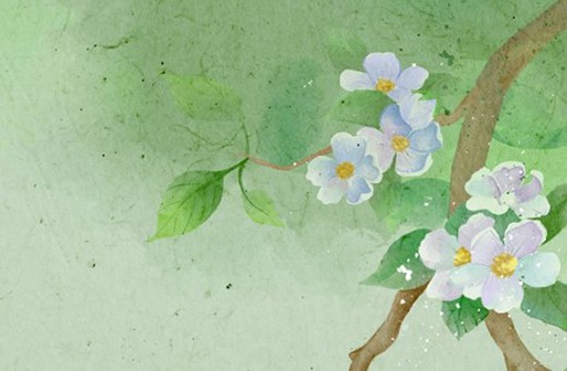 2021牛年出生月運勢,屬牛人哪個月份出生最好