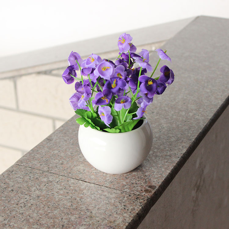 家居風水：四種為你帶來霉運的盆栽