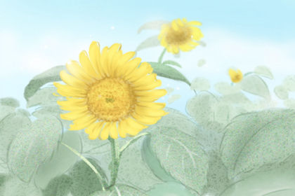 好別墅風水的禁忌和講究