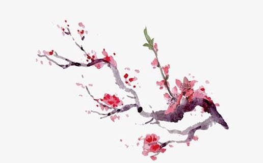 2021三月生寶寶幾月懷孕 備孕飲食注意事項有哪些