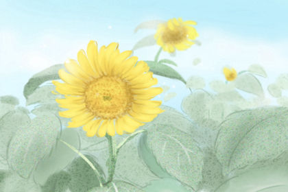 貔貅辦公桌擺放風水注意事項