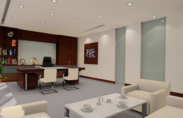 生肖龍的辦公室怎麼擺放的風水好？