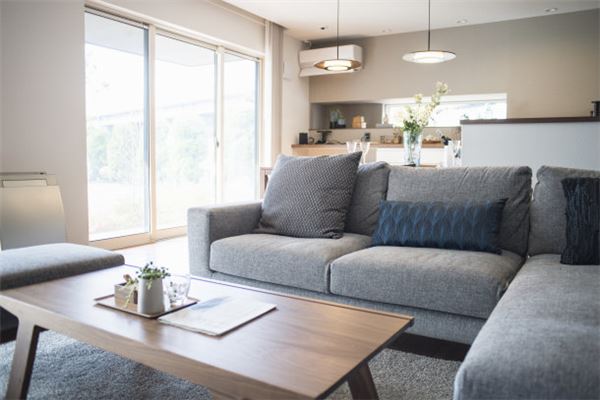 家中擺放什麼植物招財納福