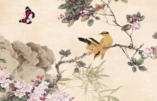 車牌號779打分 最能旺財運的車牌號