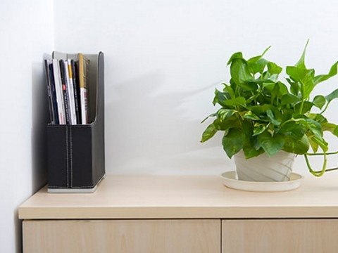 辦公室需要擺放物件的話就該遵循以下一些小要求