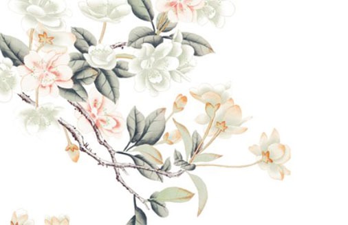 5位純數字車牌多少錢 熱門順號大盤點