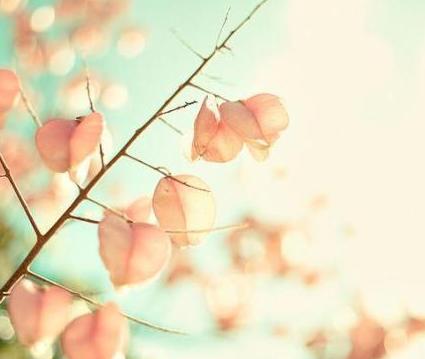 居家風水的禁忌與破解