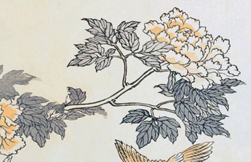 車牌號50選1訣竅 選大吉大利的車牌號碼