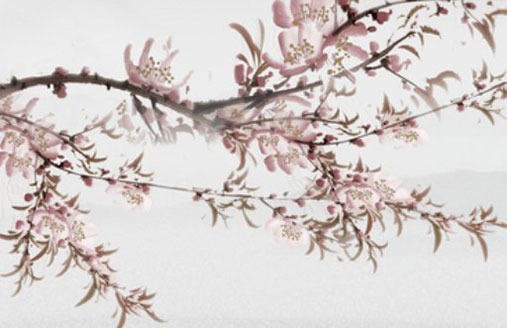 為什麼車牌號都選3 帶吉祥幸運的數字