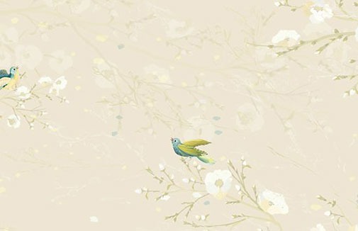 車牌號59和95哪個好 大吉吸睛的車牌號碼