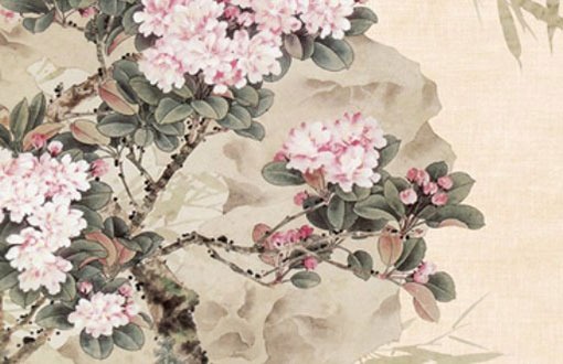 農歷幾日出生同佛有緣 什麼樣的人有佛緣