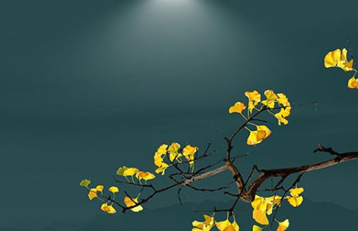 為什麼車牌尾數不要5 利財運車牌號