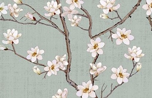 車牌號自編自選技巧 事先准備吉利號碼