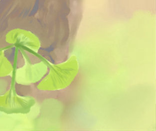 買新房要注意16個風水