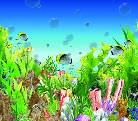 魚缸擺哪裡最合適