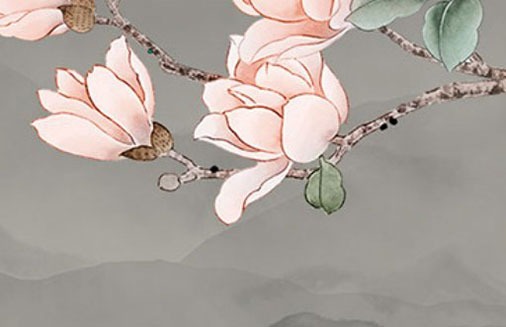 車牌尾號為00好不 五行最旺車牌號碼