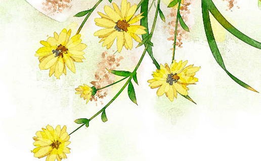 2021牛年出生的人的命運 金牛年出生的人性格很好