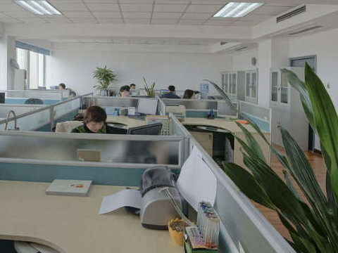 辦公室該怎樣提升風水以達到升職加薪