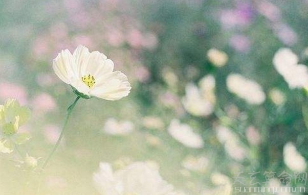 8月8日生日書  8月8日出生的人命運解析