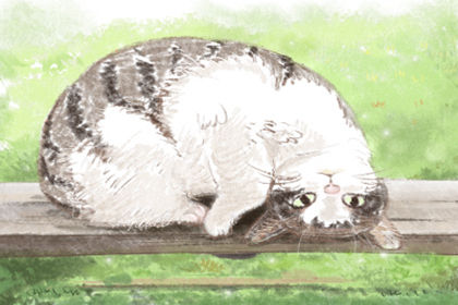 【衛生間風水】不好的衛生間風水破解常識