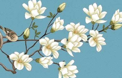 選車牌號哪些英文字母最吉利 熱門牌號大盤點