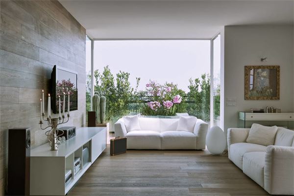 院子不宜種的樹講究