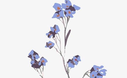 屬牛的午時出生的女孩 午時出生的女孩性格