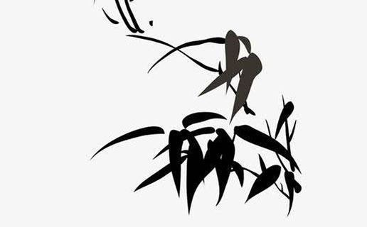 屬豬女孩最好的出生時辰 卯時出生的屬豬人最好命