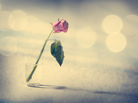 2020家庭風水大忌