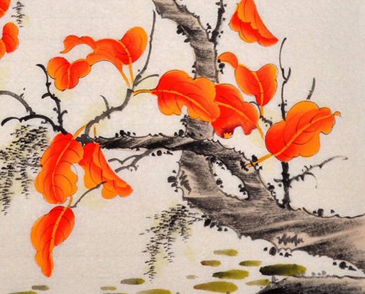 屬牛的幾日出生好,生肖牛最命苦的出生日期