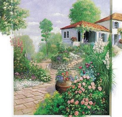 提高家居風水運勢的植物