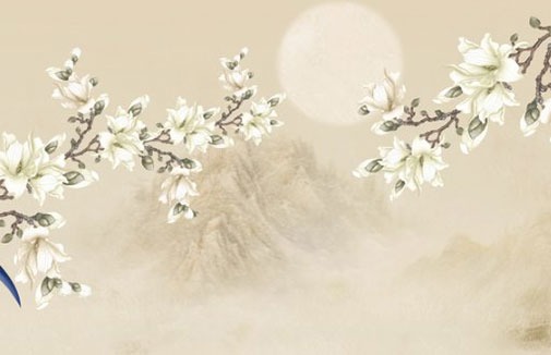 車牌號555都是什麼人用 出行大吉的車牌號碼